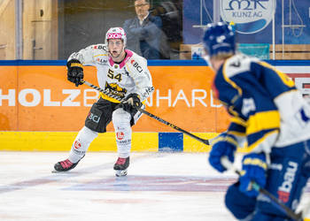 1. mannschaft, Eishockey, HC Davos, HCD, davos, meisterschaft