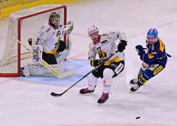 Bild: Marcel Kaul (szeneemagazin.ch)