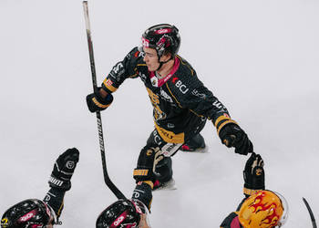 96 Timashov Dmytro, But, C.G Photographie, Colin Girard, HC Fribourg Gottéron, HCA, HCAjoie, HCFG, Hockey Club Ajoie, NL, National League, Porrentruy, RAIFFEISEN ARENA, Saison 2023-24, célébration, hockey