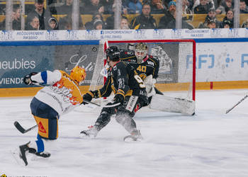 90 Fischer Jannik, C.G Photographie, Colin Girard, EVZ, EVZoug, EVZug, HCA, HCAjoie, Hockey Club Ajoie, NL, National League, Porrentruy, RAIFFEISEN ARENA, Saison 2023-24, hockey