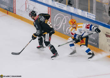 8 Devos Philip-Michaël, C.G Photographie, Colin Girard, EVZ, EVZoug, EVZug, HCA, HCAjoie, Hockey Club Ajoie, Joueurs NL, NL, National League, Porrentruy, RAIFFEISEN ARENA, Saison 2023-24, hockey
