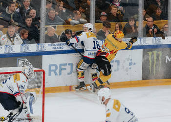 43 Brennan Terrence James, C.G Photographie, Club National League, Colin Girard, HCA, HCA Vs EHCK, HCAjoie, Hockey Club Ajoie, Joueurs 1ERE, Maillot Jaune, NL, National League, Porrentruy, Postfinance Topscorer, RAIFFEISEN ARENA, Saison 2024-25, charge à la bande, faute, hockey