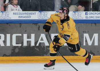 C.G Photographie, Club National League, Colin Girard, HCA, HCA Vs EHCK, HCAjoie, Hockey Club Ajoie, Maillot Jaune, NL, National League, Porrentruy, RAIFFEISEN ARENA, Richard Mille, Saison 2024-25, hockey, sponsor