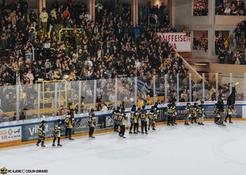 Academy, Académie, C.G Photographie, Club National League, Colin Girard, HCA, HCAjoie, Hockey Club Ajoie, Maillot Jaune et Noir, NL, National League, Porrentruy, RAIFFEISEN ARENA, Saison 2024-25, hockey, juniors