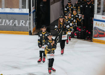 Academy, Académie, C.G Photographie, Club National League, Colin Girard, HCA, HCAjoie, Hockey Club Ajoie, Maillot Jaune et Noir, NL, National League, Porrentruy, RAIFFEISEN ARENA, Saison 2024-25, hockey, juniors