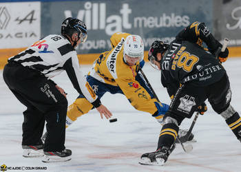 8 Devos Philip-Michaël, C.G Photographie, Club National League, Colin Girard, HCA, HCAjoie, Hockey Club Ajoie, Joueurs 1ERE, Maillot Jaune et Noir, NL, National League, Porrentruy, RAIFFEISEN ARENA, Saison 2024-25, engagement, hockey