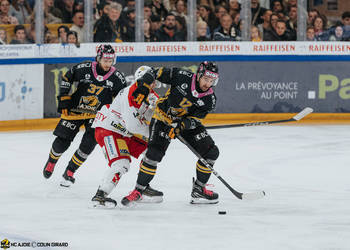 12 Frossard Thibault, C.G Photographie, Club National League, Colin Girard, HCA, HCA Vs EHCB, HCAjoie, Hockey Club Ajoie, Joueurs 1ERE, NL, National League, Porrentruy, RAIFFEISEN ARENA, Saison 2024-25, hockey, maillot noir