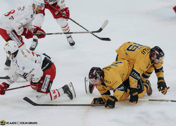 C.G Photographie, Club National League, Colin Girard, HCA, HCA Vs SCRJ, HCAjoie, Hockey Club Ajoie, NL, National League, Porrentruy, RAIFFEISEN ARENA, Saison 2024-25, betisier, hockey