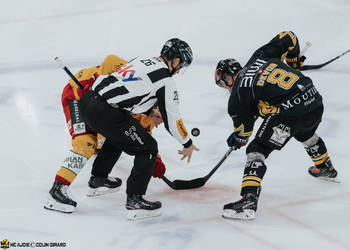 Description de l'image