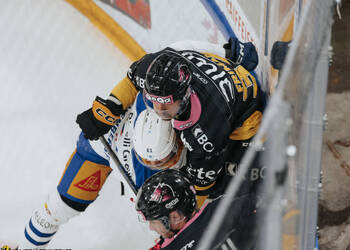 33 Friman Niklas, C.G Photographie, Club National League, Colin Girard, HC Ajoie, HCA, NL, National League, RAIFFEISEN ARENA, Saison 2025-26, Saison25-26, hockey