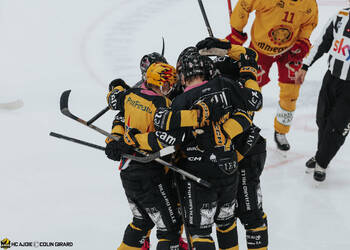 3 Honka Anttoni, 32 Turkulainen Jerry, 74 Nättinen Julius, 8 Devos Philip-Michaël, But, C.G Photographie, Club National League, Colin Girard, HC Ajoie, HCA, HCA Vs SCLTigers, NL, National League, Postfinance Topscorer, RAIFFEISEN ARENA, Saison 2025-26, Saison25-26, célébration, hockey, sponsor