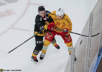 13 Robin Louis, C.G Photographie, Club National League, Colin Girard, HC Ajoie, HCA, HCA Vs SCLTigers, NL, National League, RAIFFEISEN ARENA, Saison 2025-26, Saison25-26, charge à la bande, faute, hockey