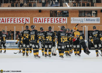 C.G Photographie, Club National League, Colin Girard, Fin de match, HC Ajoie, HCA, HCA Vs SCLTigers, NL, National League, RAIFFEISEN ARENA, Saison25-26, hockey, intérieur patinoire, loge