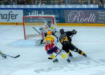 Description de l'image