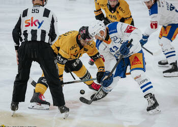 41 Bellemare Pierre-Edouard, C.G Photographie, Club National League, Colin Girard, HC Ajoie, HCA, HCA Vs EVZ, NL, National League, RAIFFEISEN ARENA, Saison 2025-26, Saison25-26, engagement, hockey