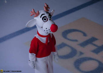 C.G Photographie, Club National League, Colin Girard, HC Ajoie, HCA, HCA Vs LHC, NL, National League, Nez Rouge, RAIFFEISEN ARENA, Saison25-26, hockey