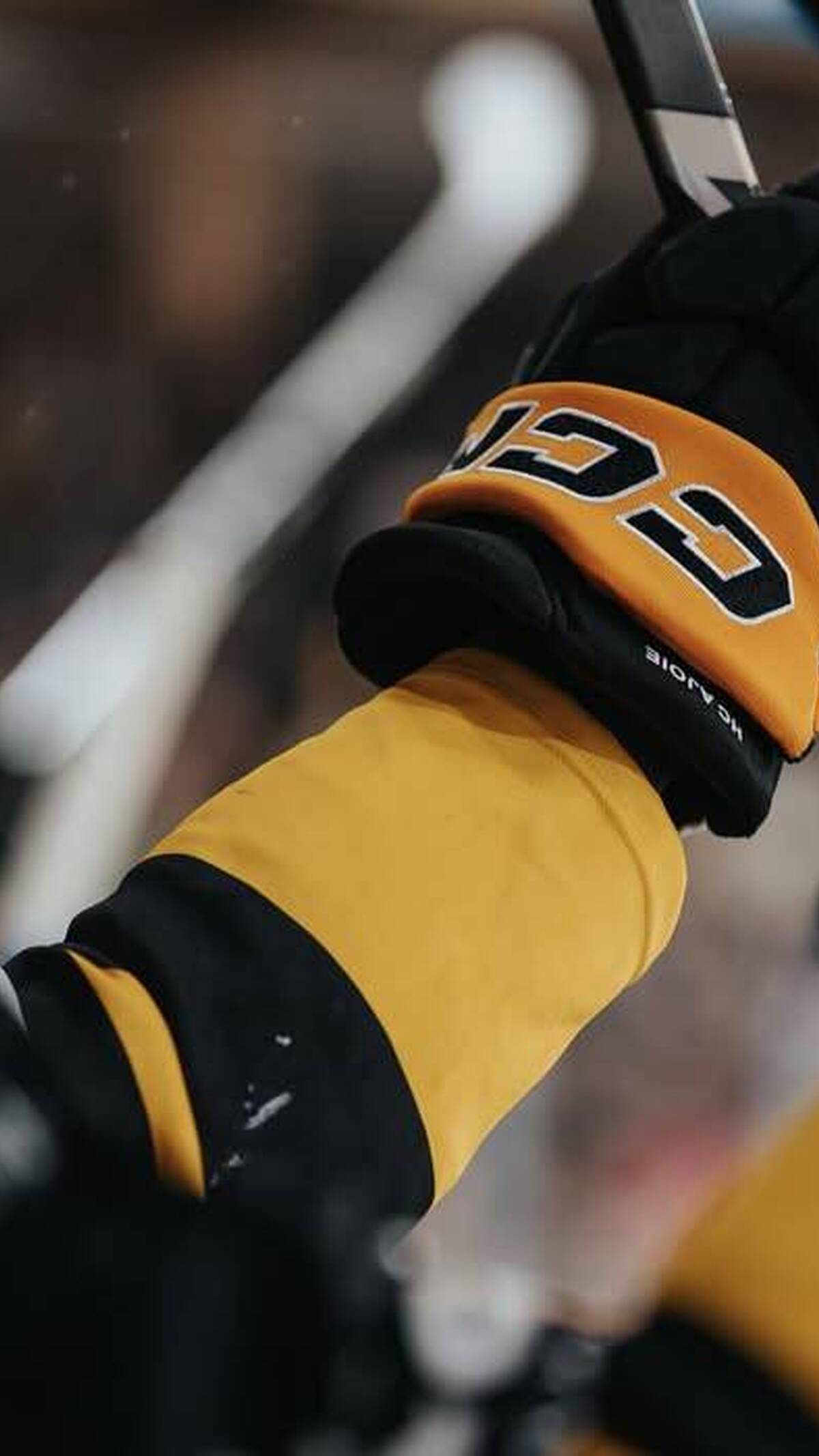 Deux nouveaux visages au HC Ajoie