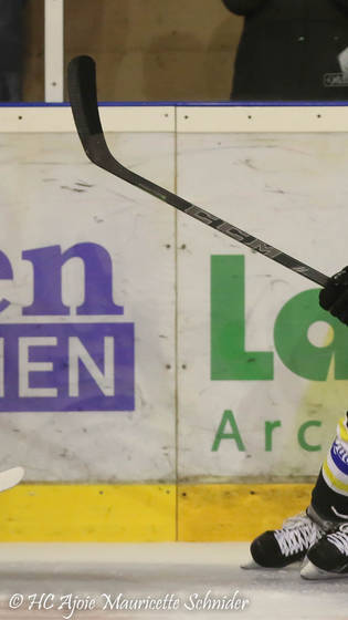 Saison 2015/2016 22.09.15 HCA - GCK Lions (6-2)