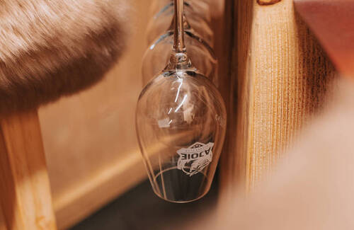 C.G Photographie, Colin Girard, HCA, HCAjoie, Hockey Club Ajoie, Loges fondu, NL, National League, Porrentruy, RAIFFEISEN ARENA, Saison 2023-24, hockey