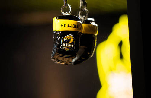 Description de l'image