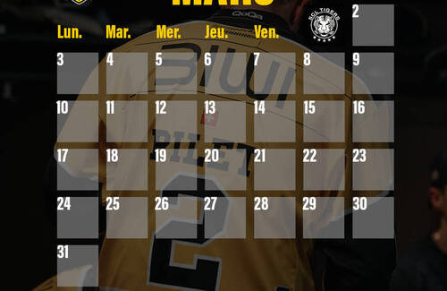 Description de l'image