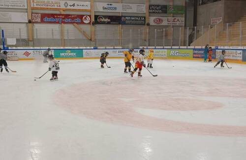 Description de l'image