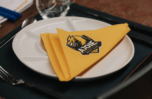 C.G Photographie, Colin Girard, HCA, HCAjoie, Hockey Club Ajoie, Loges, NL, National League, Porrentruy, RAIFFEISEN ARENA, Saison 2023-24, hockey