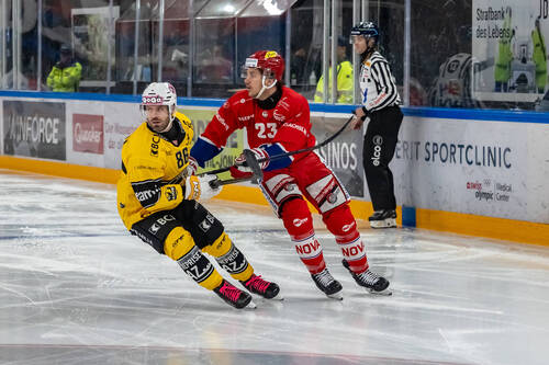 Nico Duenner (SCRJ) gegen Nolan Diem (HCA) beim Meisterschaftsspiel der National League zwischen den SC Rapperswil-Jona Lakers und dem HC Ajoie am Samstag, 31. Oktober 2026, in der St. Galler Kantonalbank Arena Rapperswil-Jona. (Fritz Leuzinger)