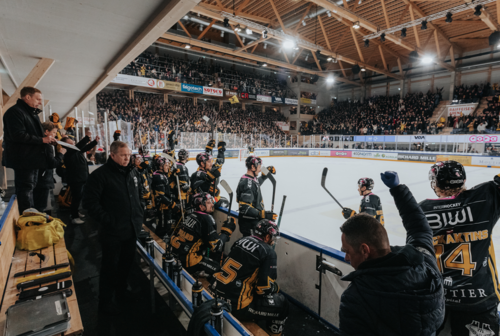 photos du banc des joueurs (ouverture dans une nouvelle fenêtre)