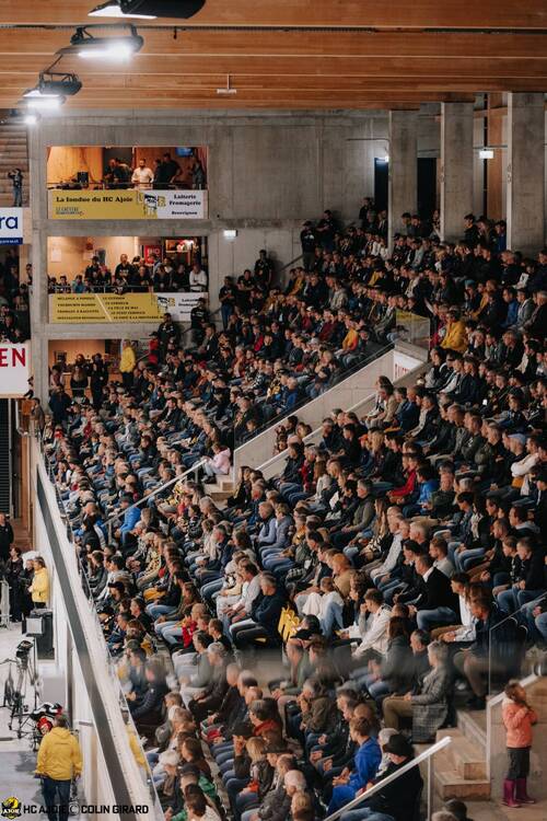 le public assistant à un match du HCA
