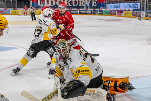 Jonas Taibel (SCRJ) gegen Louis Robin (HCA) beim Family-Game der National League zwischen den SC Rapperswil-Jona Lakers und dem HC Ajoie am Sonntag, 19 .Oktober 2025, in der St. Galler Kantonalbank Arena Rapperswil-Jona. (Fritz Leuzinger)