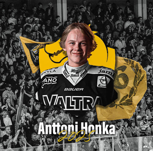 anttoni honka