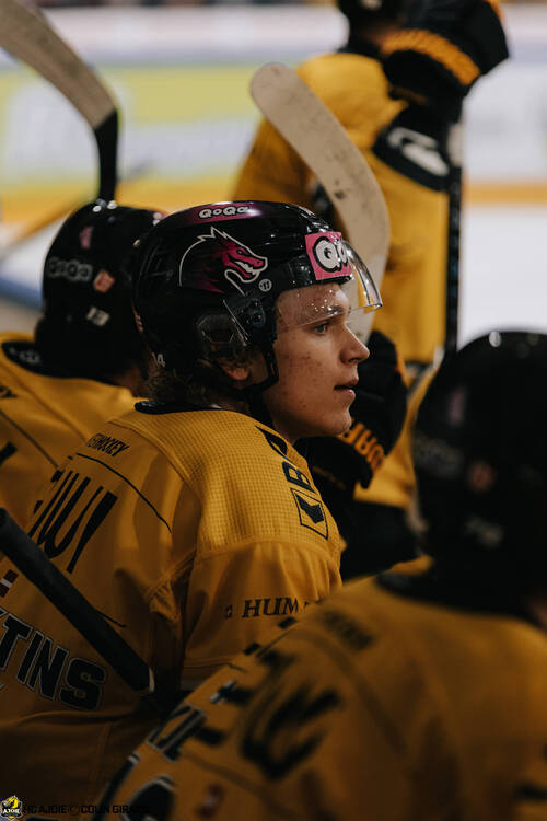 C.G Photographie, Colin Girard, HCA, HCA Vs EVZ, HCAjoie, Hockey Club Ajoie, NL, National League, Porrentruy, RAIFFEISEN ARENA, Saison 2024-25, hockey