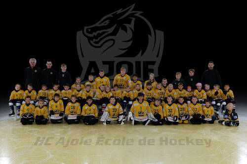PHOTO D'EQUIPE ECOLE DE HOCKEY