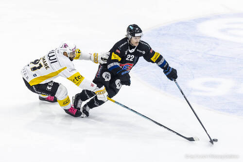 Ajoie se déplaçait à la BCF Arena