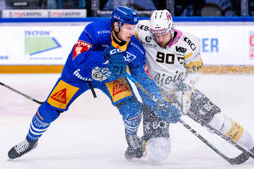 fischer à la lutte avec un Zougois